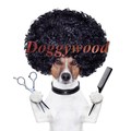 logo Trimsalon Doggywood